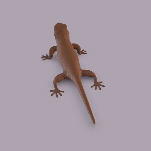 Gecko 3D Print 406667