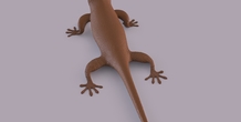 Image 406667
