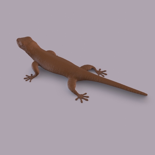 Gecko 3D Print 406668