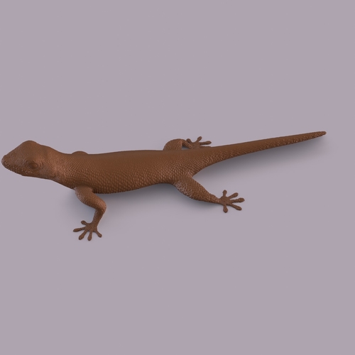 Gecko 3D Print 406669