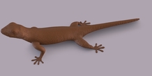 Image 406669