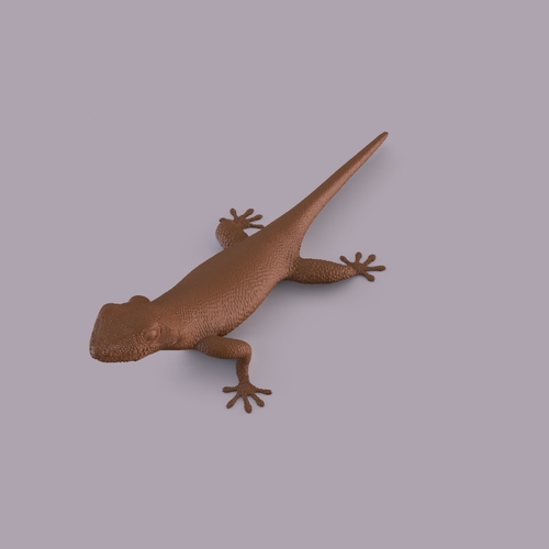 Gecko 3D Print 406670