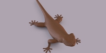 Image 406672