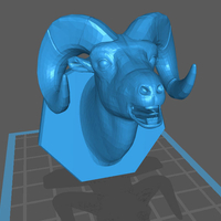 Bighorn Sheep HeadMount - Thumbnail 1