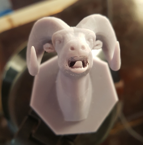 Bighorn Sheep HeadMount 3D Print 406716