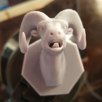 Bighorn Sheep HeadMount - Thumbnail 3