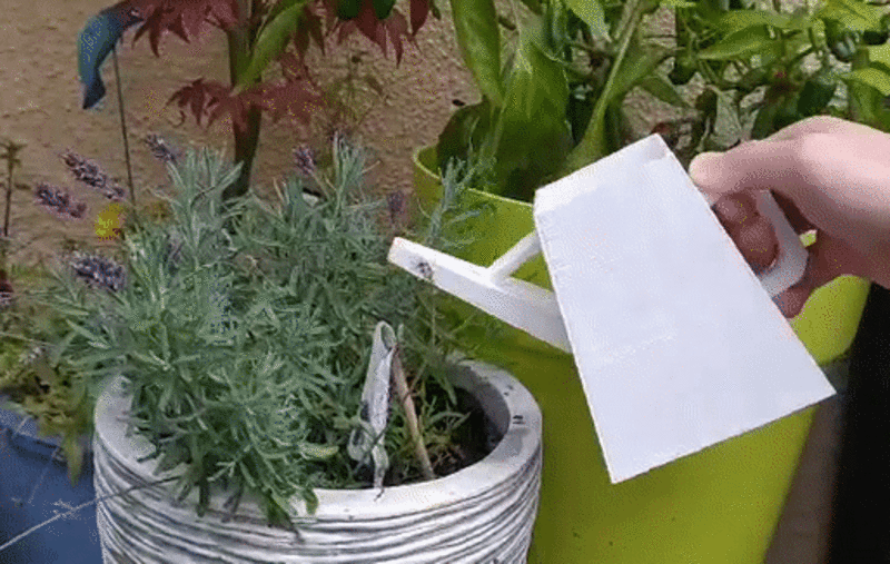Arrosoir  / Watering can 