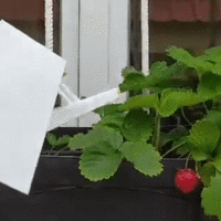 Arrosoir  / Watering can  - Thumbnail 2