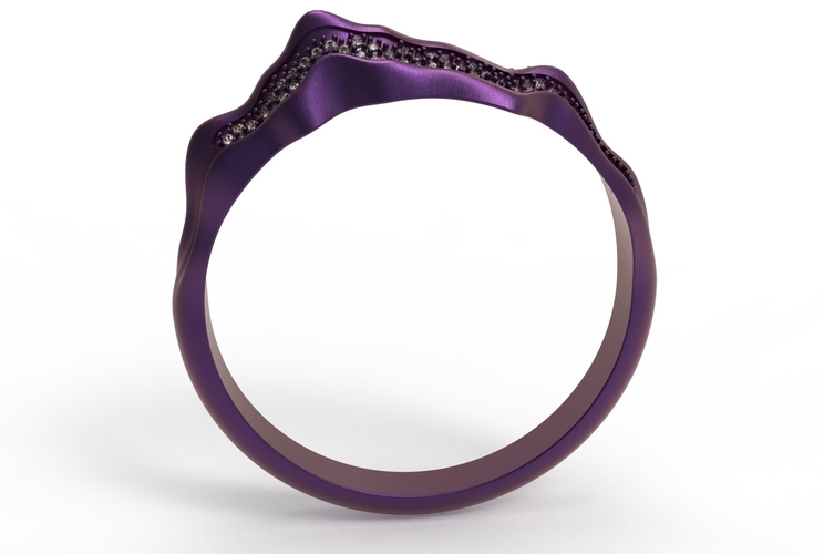 Alborz Ring 3D Print 407028