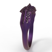 Alborz Ring - Thumbnail 12