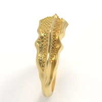 Alborz Ring - Thumbnail 15