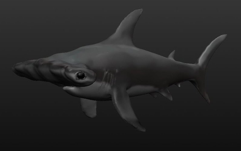 Hammerhead Shark 3D Print 40719