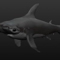 Small Hammerhead Shark 3D Printing 40719