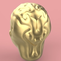 firs head sculpting - Thumbnail 9