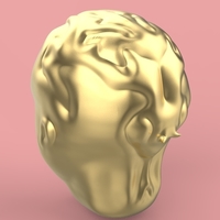 firs head sculpting - Thumbnail 10