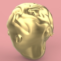 firs head sculpting - Thumbnail 11
