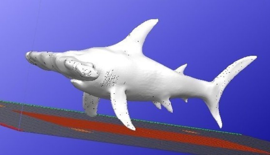 Hammerhead Shark 3D Print 40720