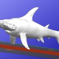 Hammerhead Shark - Thumbnail 2