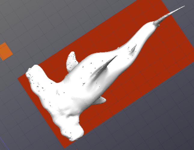 Hammerhead Shark 3D Print 40721
