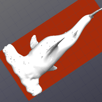 Hammerhead Shark - Thumbnail 3