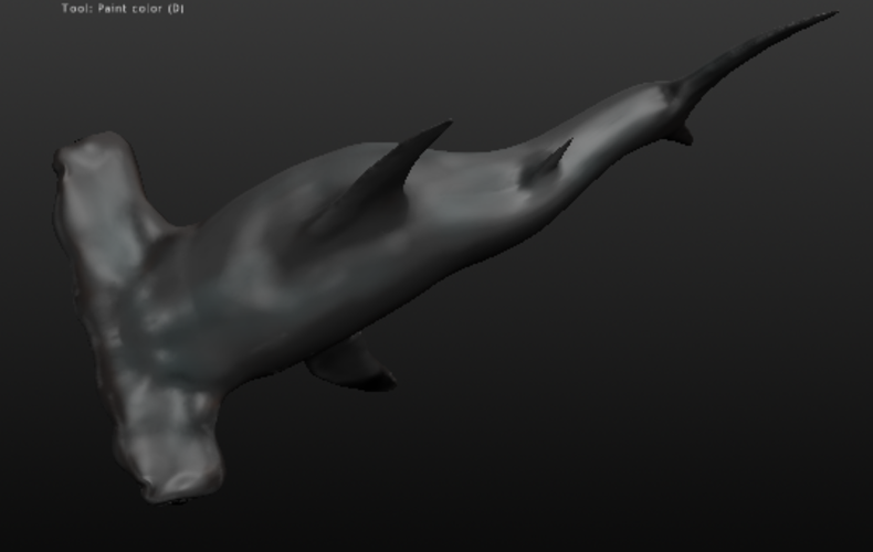 Hammerhead Shark 3D Print 40722