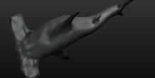 Image 40722