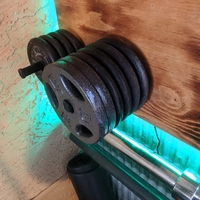 Standard weight plate wall mounted storage pin - Thumbnail 4