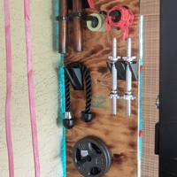 Standard weight plate wall mounted storage pin - Thumbnail 5