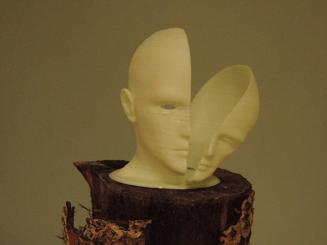 Head Warp 3D Print 40802
