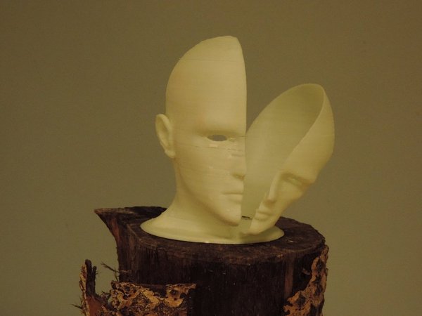 Head Warp