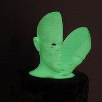 Head Warp - Thumbnail 2