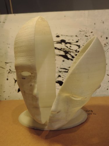Head Warp 3D Print 40804