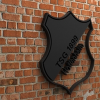 TSG 1899 Hoffenheim Logo - Thumbnail 2