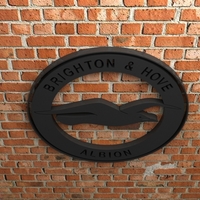 Brighton & Hove Albion FC Logo - Thumbnail 3