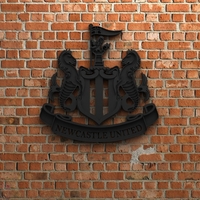 Small Newcastle United FC Logo 3D Printing 408353