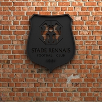 Small Stade Rennais FC Logo 3D Printing 408464