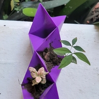 decorative design - Thumbnail 3