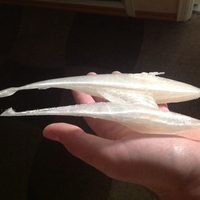 Farscape Talyn Leviathan - Thumbnail 2