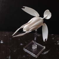 Babylon 5 Vorlon fighter - Thumbnail 8