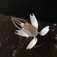 Babylon 5 Vorlon fighter - Thumbnail 9