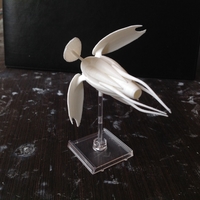 Babylon 5 Vorlon fighter - Thumbnail 12