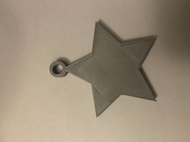 Star Pendent 3D Print 409754