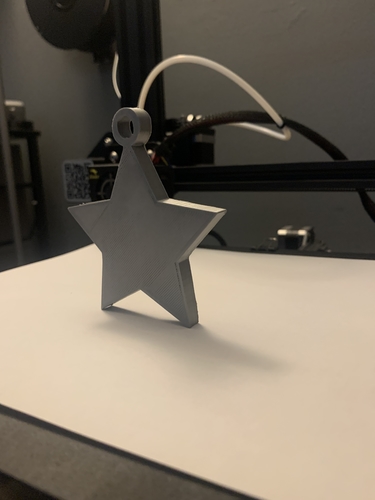 Star Pendent 3D Print 409762