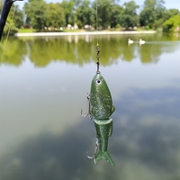Freshwater Glide Bait Fishing Lure - Thumbnail 3