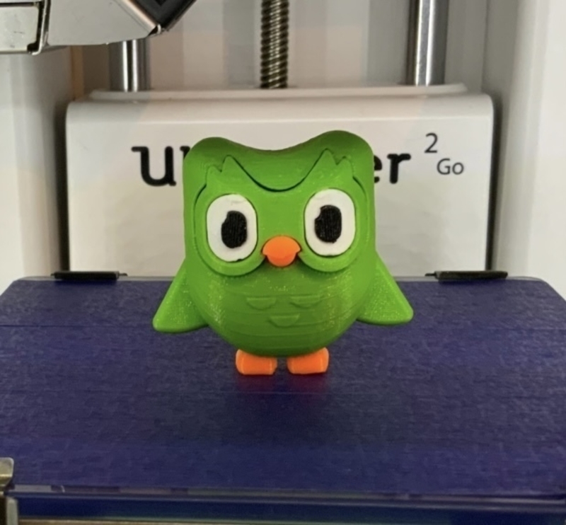 Duo owl from Duolingo App