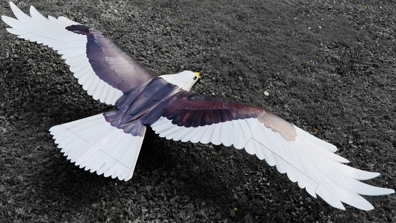3D printable RC Eagle