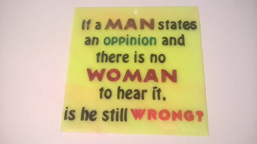 Man Opinion Sign