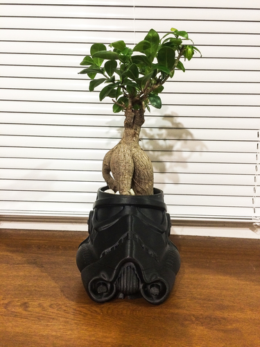 Stormtrooper flower pot 3D Print 411504