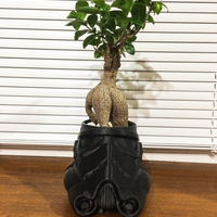 Small Stormtrooper flower pot 3D Printing 411504