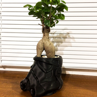 Stormtrooper flower pot - Thumbnail 2
